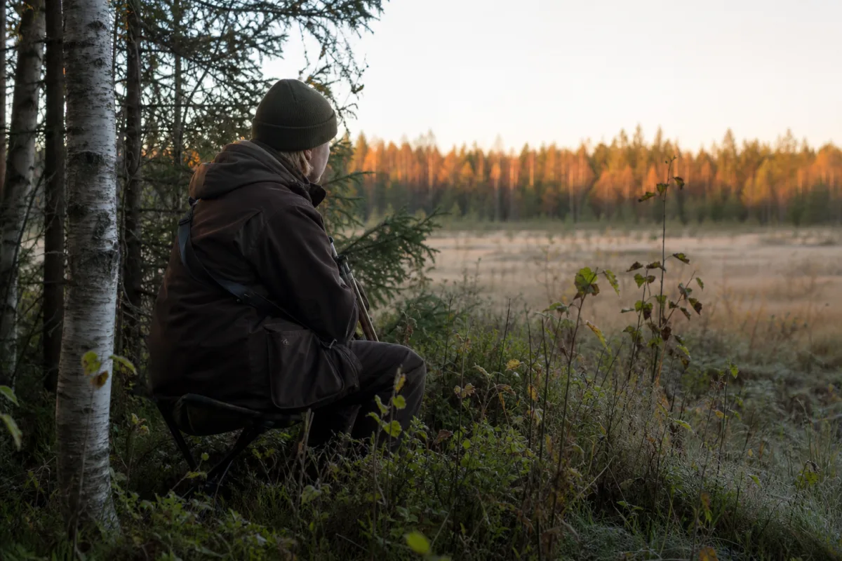 Jägare på pass i skogsbryn under en drevjakt