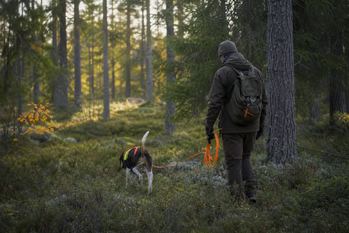 Jägare och eftersökshund följer ett spår i skogsmark